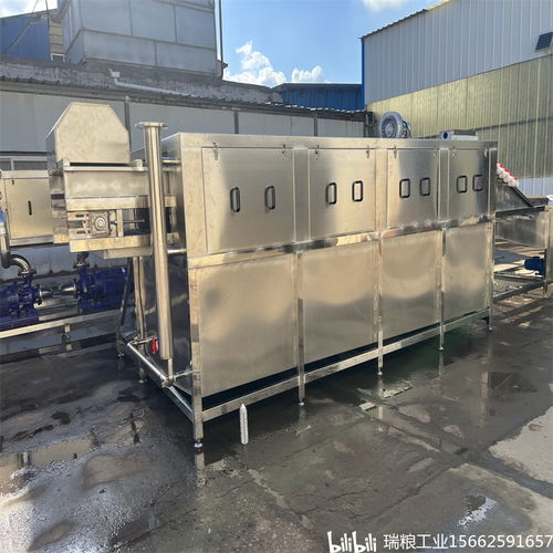 一站式解決大姜生產難題，選擇瑞糧食品工業裝備大姜清洗機商用設備