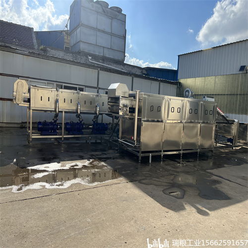 一站式解決大姜生產難題，選擇瑞糧食品工業裝備大姜清洗機