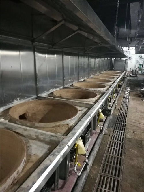 中邦氣化爐商用設備 從高清安裝圖到企業實力全解析